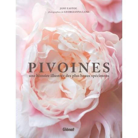 Pivoines