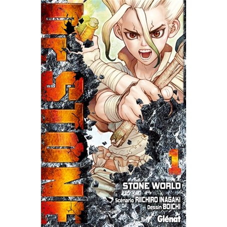 Dr. Stone - Tome 01