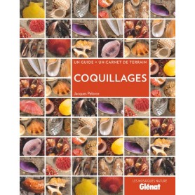 Coquillages