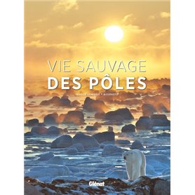 Vie sauvage des pôles