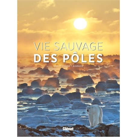 Vie sauvage des pôles