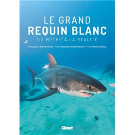 Le grand requin blanc