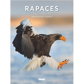 Rapaces, entre ciel et terre