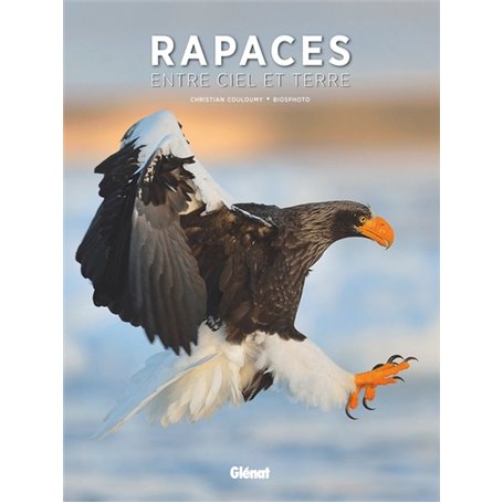 Rapaces, entre ciel et terre