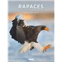 Rapaces, entre ciel et terre