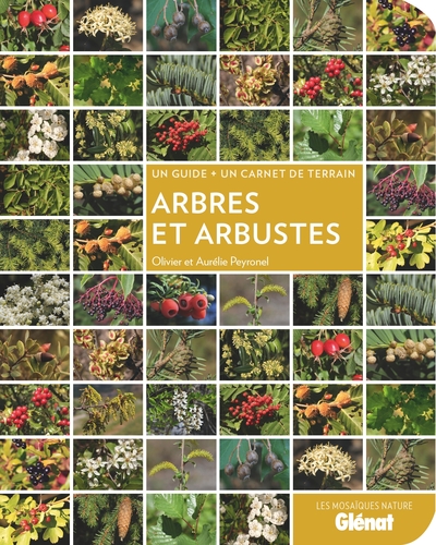 Arbres