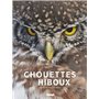 Chouettes et hiboux