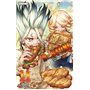 Dr. Stone - Tome 11