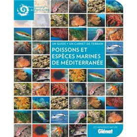 Poissons et espèces marines de Méditerranée