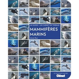 Mammifères marins