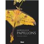 Merveilleux papillons