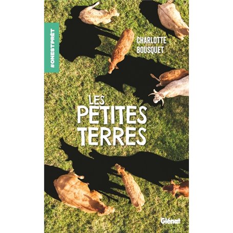 Les petites terres