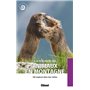 À la rencontre des animaux en montagne (2e ed)