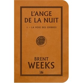 L'Ange de la Nuit, T1 : La Voie des ombres