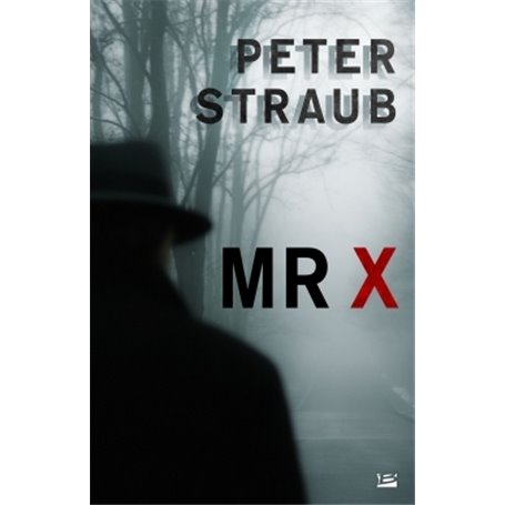 Mr X