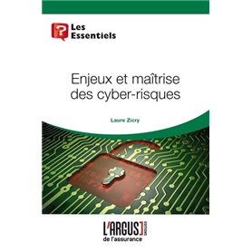 Enjeux et maîtrise des cyber-risques