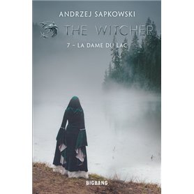 The Witcher (Sorceleur), T7 : La Dame du lac