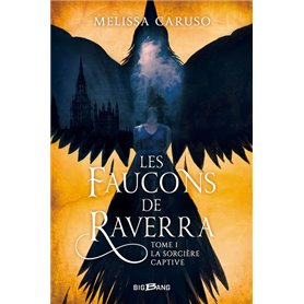 Les Faucons de Raverra, T1 : La Sorcière captive