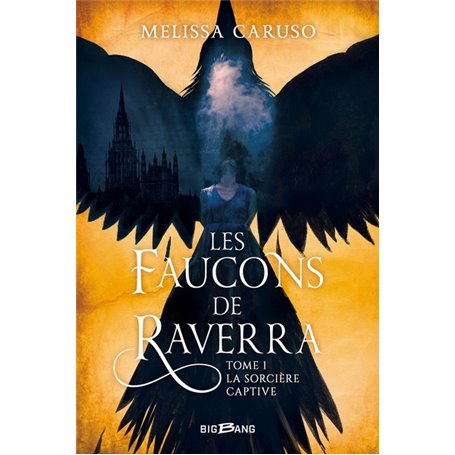 Les Faucons de Raverra, T1 : La Sorcière captive