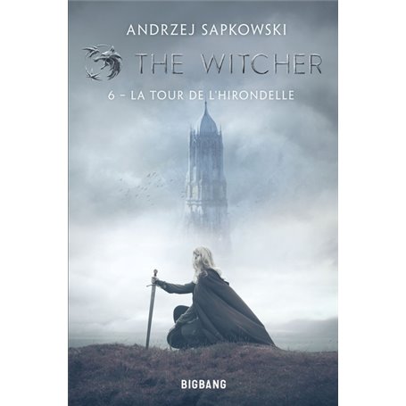 The Witcher (Sorceleur), T6 : La Tour de l'Hirondelle