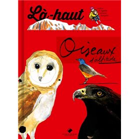 Là-haut, oiseaux d'altitude