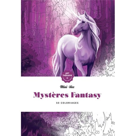 Mystères Fantasy NED