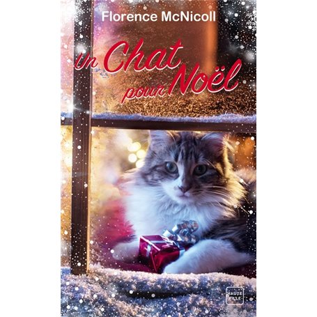 Un chat pour Noël