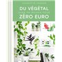 Du végétal dans ma maison pour zéro euro