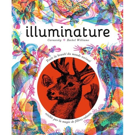 Illuminature