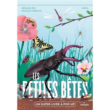 Les petites bêtes