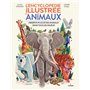 L'encyclopédie illustrée des animaux