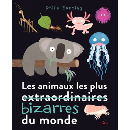 Les animaux les plus bizarres du monde