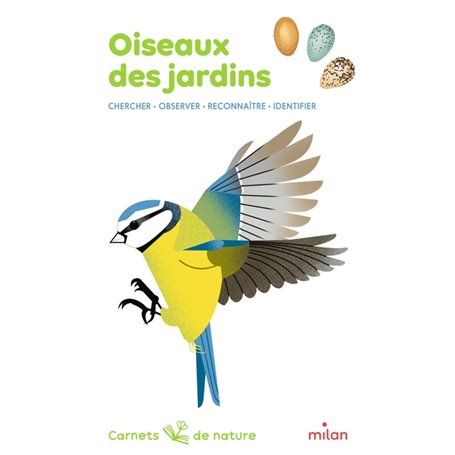 Oiseaux des jardins