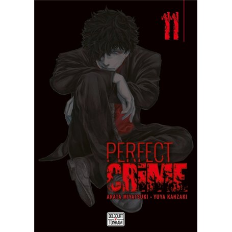 Perfect crime T11