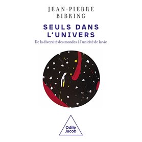 Seuls dans l'Univers