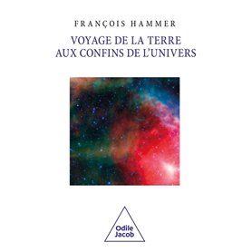 Voyage de la Terre aux confins de l'Univers