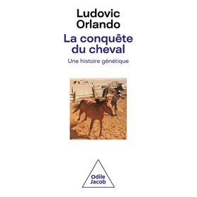 La conquête du cheval