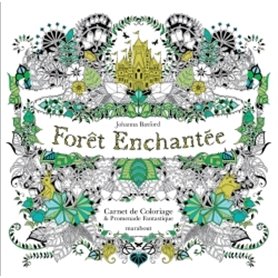 Forêt enchantée - Carnet de coloriage et Chasse au trésor antistress