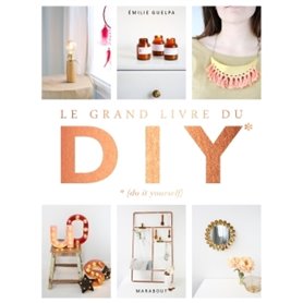 Le grand livre des DIY* *(Do it yourself)