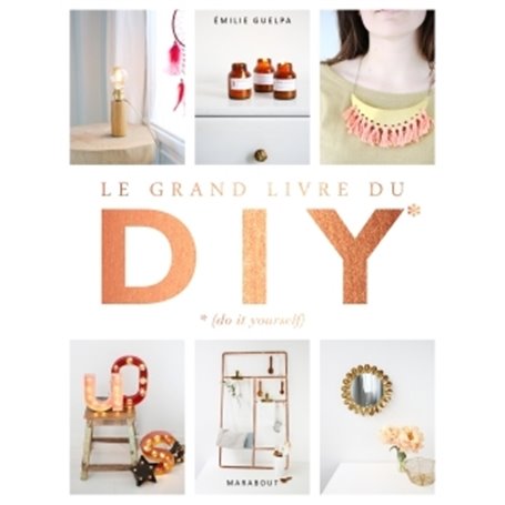 Le grand livre des DIY* *(Do it yourself)