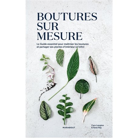 Bouture sur mesure