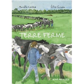 Terre ferme