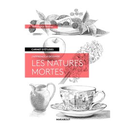 Carnet d'études - Les natures mortes