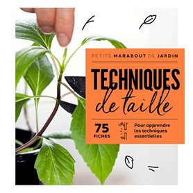 Techniques de taille