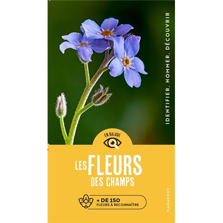 En balade - Les fleurs