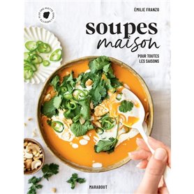 Soupes maison