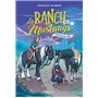 Le ranch des Mustangs - Cheval de nuit