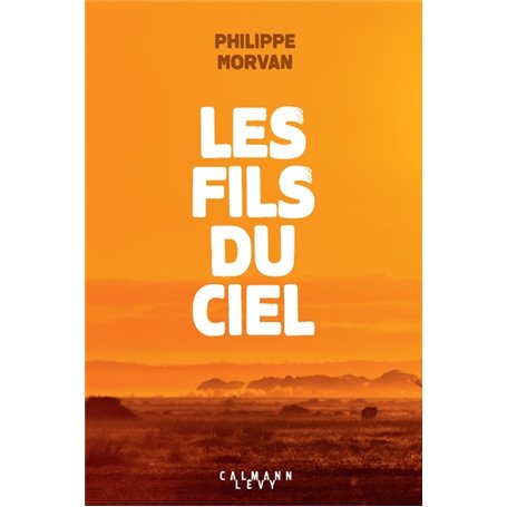 Les fils du ciel