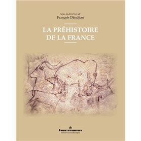 La préhistoire de la France