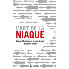 L'art de la niaque